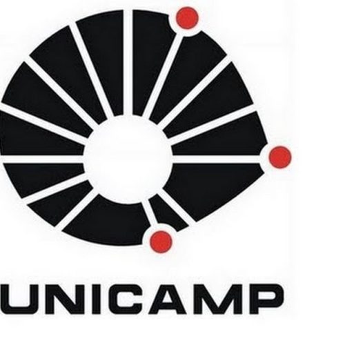 Vestibular Unicamp 2012 – Prova da primeira fase resgata universo do candidato