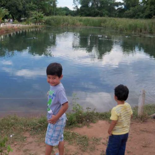 Conheça o Parque Ecológico de Porto Ferreira