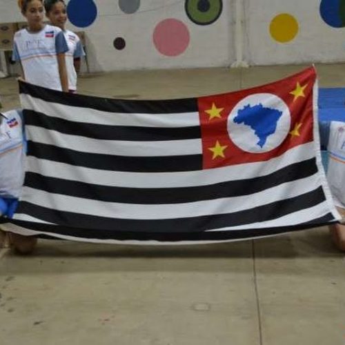 5º Festival de Ginástica Artística foi um sucesso