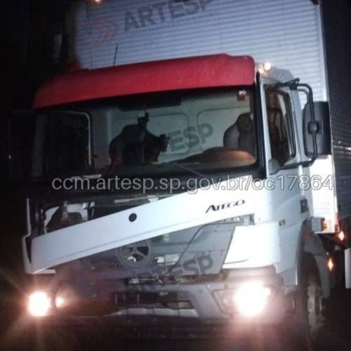 Atropelamento na Rodovia Anhanguera no km 142 deixa vítima fatal