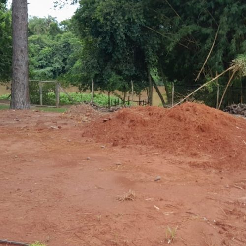 Descumprimento de embargo ambiental gera multa de R$ 10 mil em Pirassununga