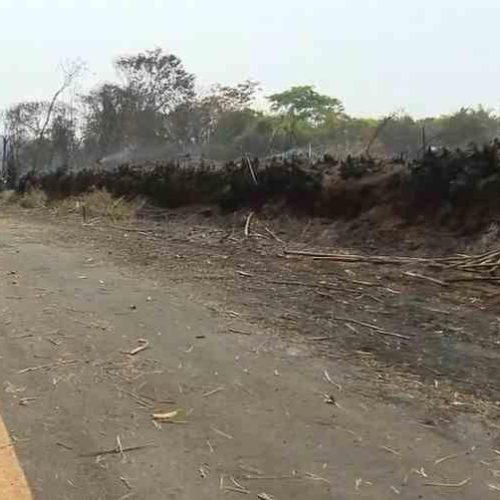 Incêndio de grande proporção atingiu as margens da “estrada do Brejão” em Porto Ferreira
