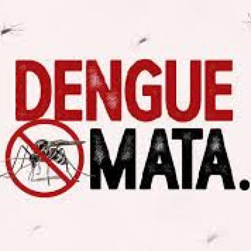 Atenção! Casos de dengue voltam a crescer em Porto Ferreira, com 133 confirmados na última semana