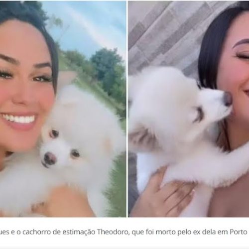 Jovemr tem cachorro de estimação morto a facadas pelo ex-marido em Porto Ferreira