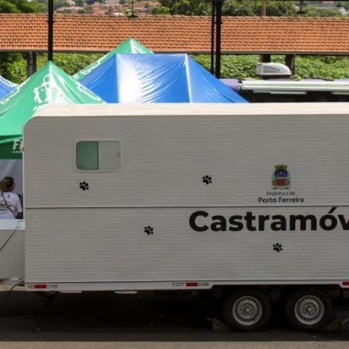 Porto Ferreira promove mutirão de castração gratuito neste fim de semana; 22 e 23/03
