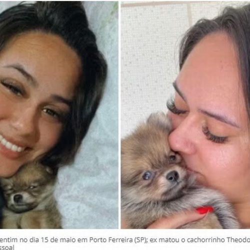 Jovem de Porto Ferreira que teve cachorro morto pelo ex ganha pet da mesma raça