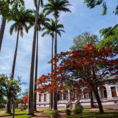 II Feira da Sustentabilidade tem entrada gratuita e mais de 50 atividades