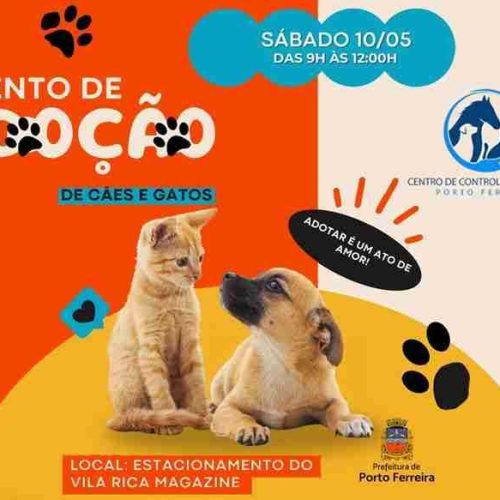 Zoonoses de Porto Ferreira promove neste sábado mais um “adoção responsável de cães e gatos”