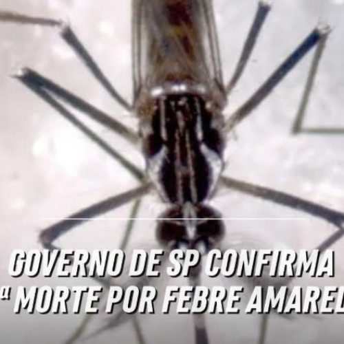 Governo do estado de SP, através da SES, confirma oitava morte por febre amarela
