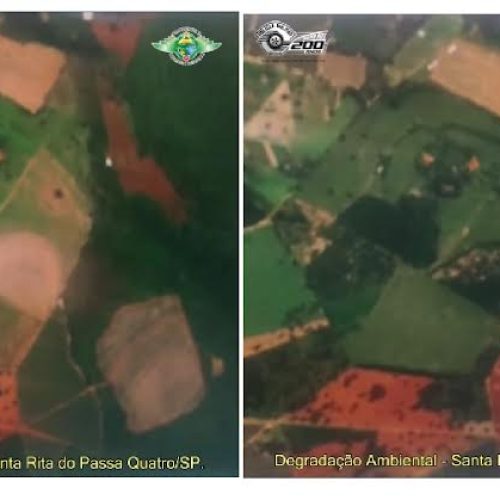 Santa Rita: proprietária rural é autuada pel PM Ambiental por destruir vegetação nativa