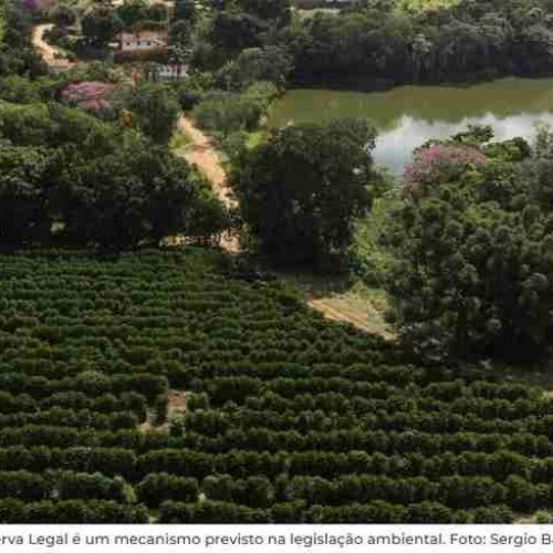 Governo do estado de SP lança Manual de Compensação Ambiental para produtores rurais
