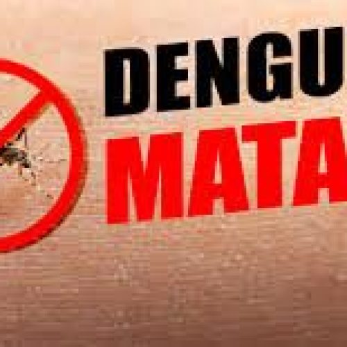 Dengue em Porto Ferreira: município atinge a marca de mais de 1200 casos