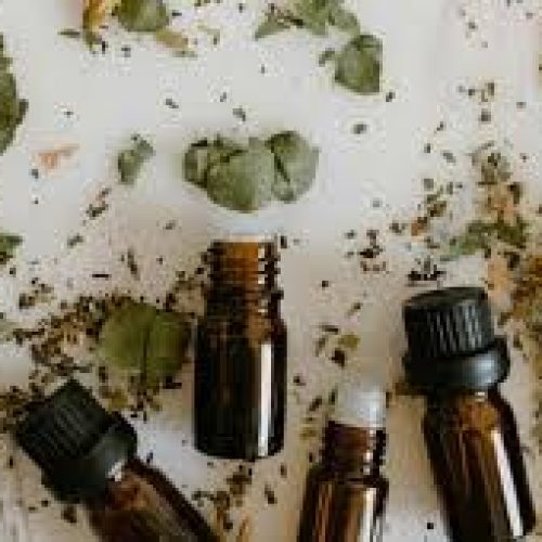 USP Ribeirão Preto oferece oficina gratuita sobre cultivo de ervas medicinais com saberes indígenas