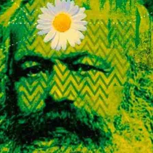 Marx e a Crise Ecológica do século XXI: uma nova interpretação