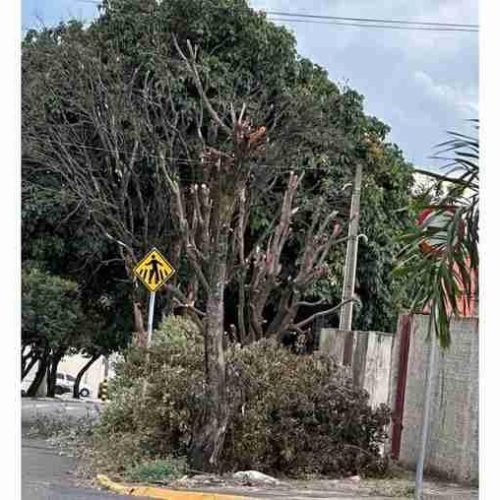 Ninguém vê com meus olhos