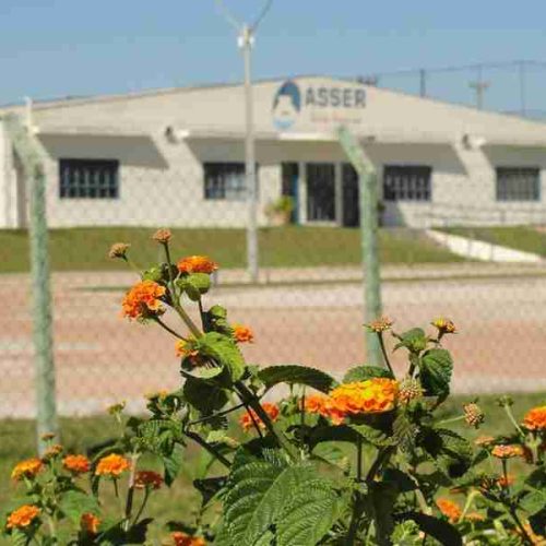 Peneira da Equipe de voleibol da Asser Porto Ferreira é sábado (21)