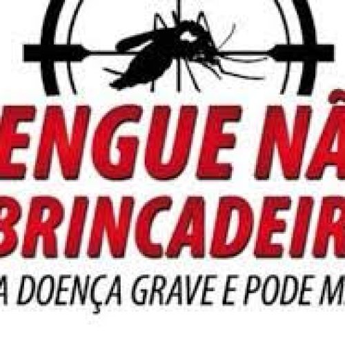 Estado de SP concentra quase 60% dos casos de dengue no Brasil neste ano de 2025