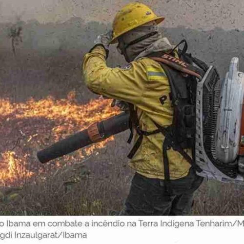 Ministério do Meio Ambiente publica medidas preventivas a incêndios que produtores deverão seguir