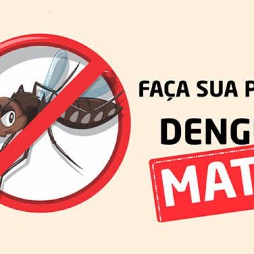 Estado de SP em Alerta Máximo: Epidemia de Dengue ameaça Saúde Pública e sobrecarrega Sistema