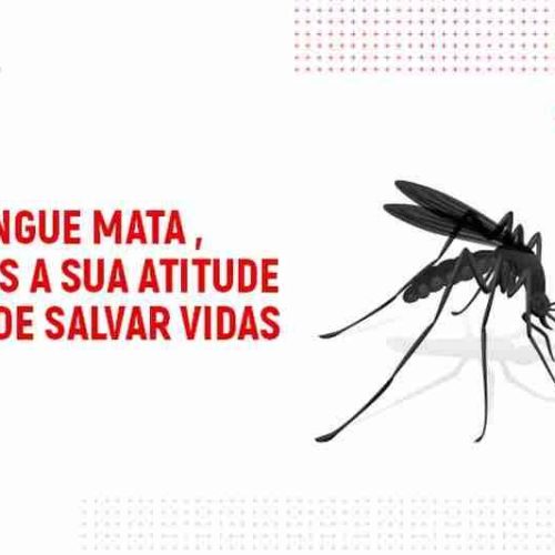 Vereadores de Porto Ferreira discutem e fazem alerta sobre a “situação da Dengue no Município”