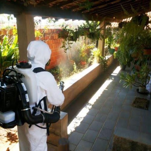 Dengue em Porto Ferreira: Vetores faz nebulização e aguarda resultados de quatro exames