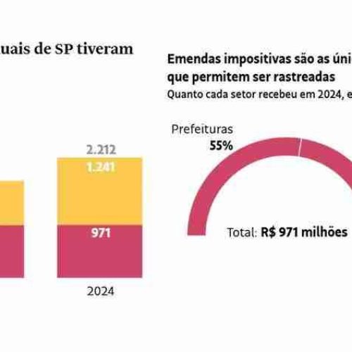 SP exigirá transparência de ONGs abastecidas por emendas, seguindo as normas federais do STF