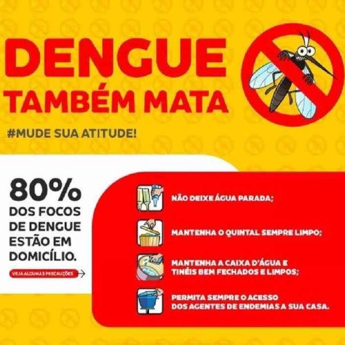 Estado de SP tem recorde de casos de dengue em 2024; total ultrapassa 2 milhões de casos confirmados