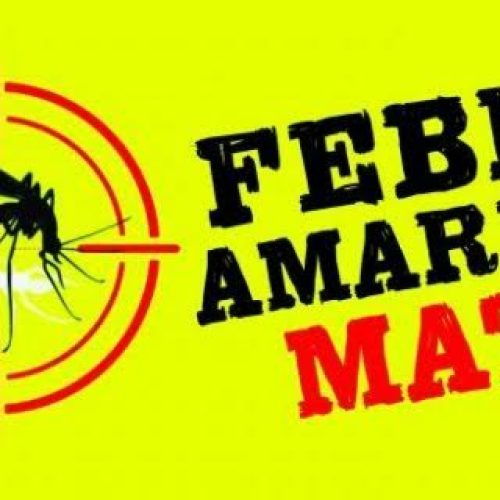 Alerta Máximo! Sobe para 29 o número de mortes por febre amarela no estado de São Paulo