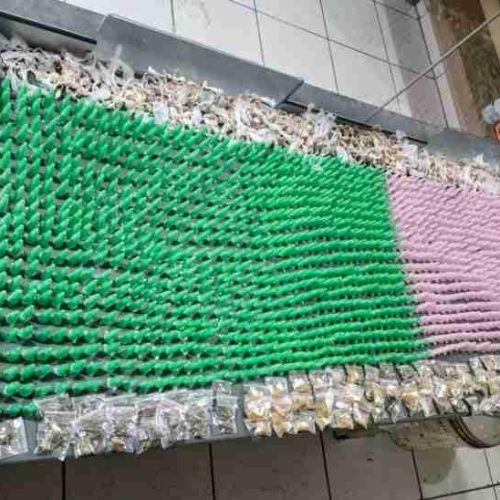 Polícia Militar de Porto Ferreira apreende vasta quantidade de drogas em mata no bairro Vila Maria