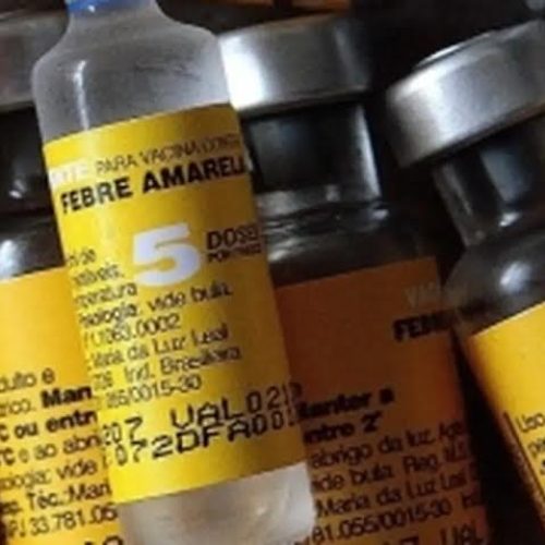 Saúde de SP confirma casos de febre amarela em macacos no município de Ribeirão Preto (SP)