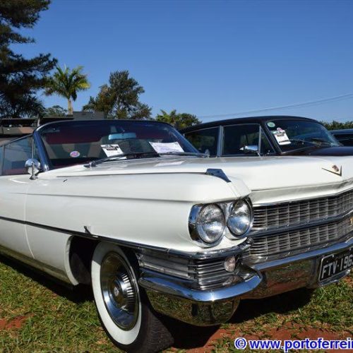 V Exposição de Carros Antigos da USP de Pirassununga segue neste domingo
