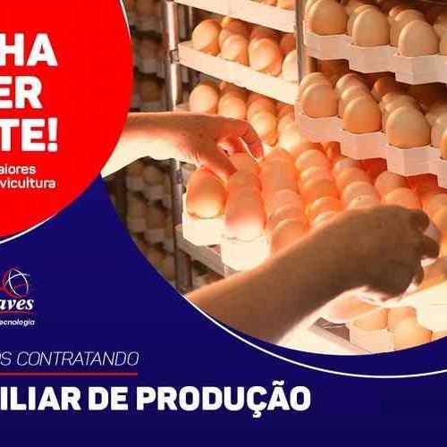 Oferta de emprego: PAT de Descalvado realiza processo seletivo para Globoaves