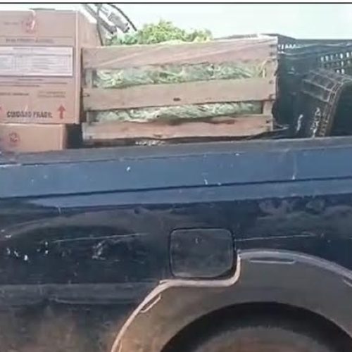 Polícia Militar de Pirassununga frustra furto de merenda escolar