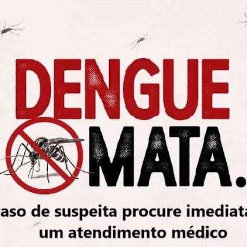 Mortes por dengue superaram óbitos por covid-19 em 2024, aponta Ministério da Saúde