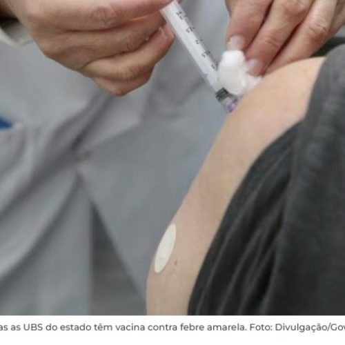 Segundo Governo do Estado, apenas não vacinados contraíram febre amarela em SP