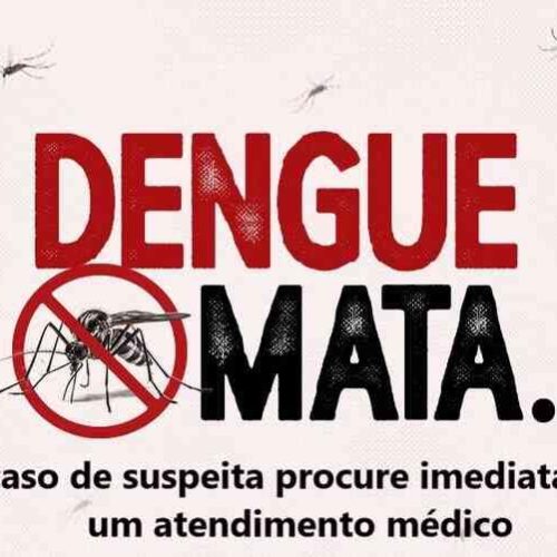 Descalvado e Porto Ferreira são os municípios da região com mais casos de dengue em 2025