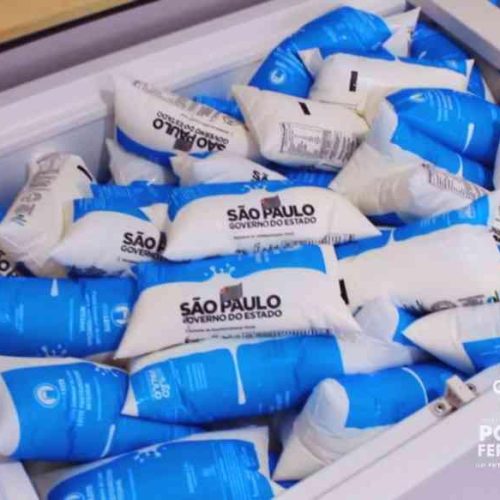 Programa de distribuição gratuita de leite de Porto Ferreira tem vagas; veja como participar