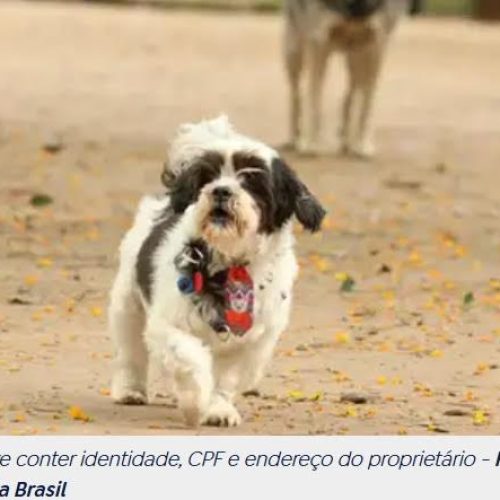 Atenção Tutores! Animais domésticos terão direito a RG com cadastro nacional