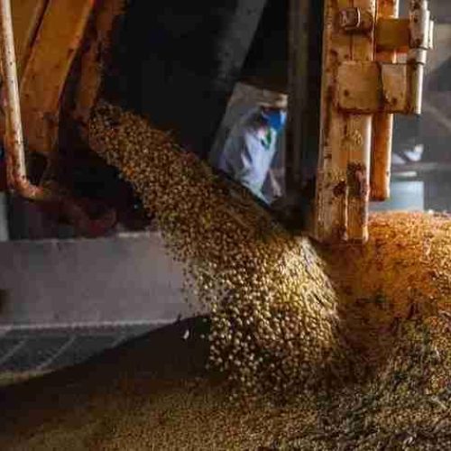 PIB do Brasil atinge patamar recorde pelo 14º trimestre seguido