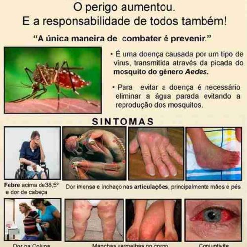 Alerta ! Estado de SP registra primeira morte por chikungunya em 2025