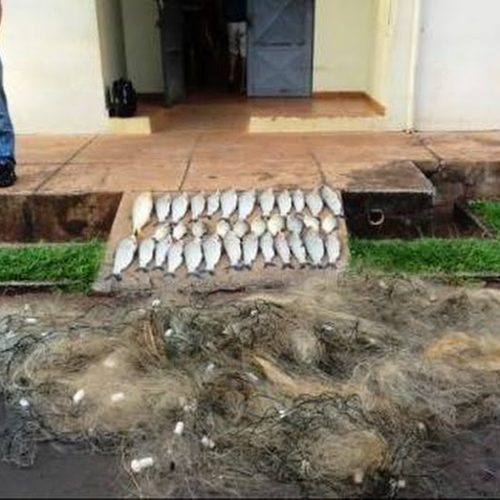 Polícia Ambiental de Pirassununga prende quatro homens por pesca predatória