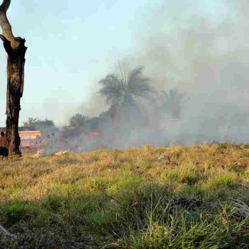 Fiscalização de Posturas/Ambiental faz alerta