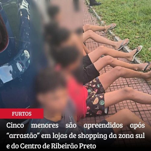 Cinco menores são apreendidos suspeitos de arrastão em shopping no interior paulista