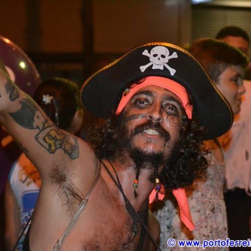 Blocos de bois desfilam no Carnaval de Porto Ferreira