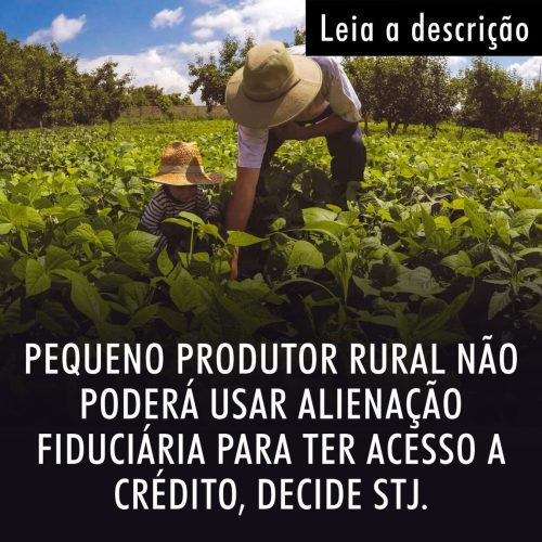 STJ proíbe que pequena propriedade rural seja penhorada para pagamento de dívidas
