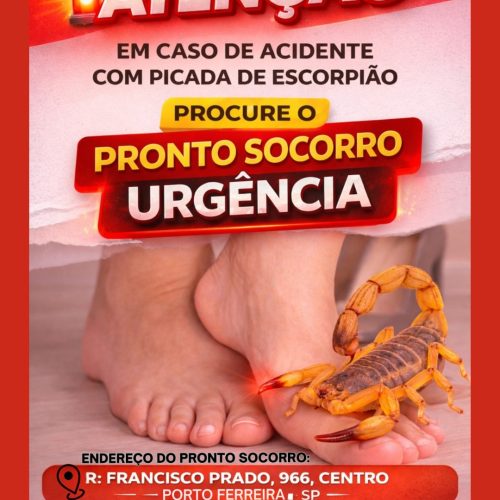 Atenção para acidentes com escorpiões em Porto Ferreira