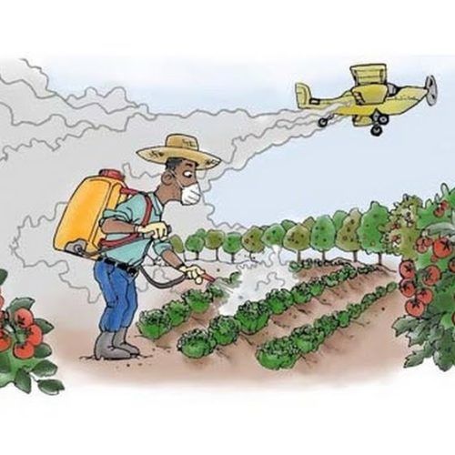 II Seminário Sobre Agrotóxicos ocorre em Araras nesta segunda-feira