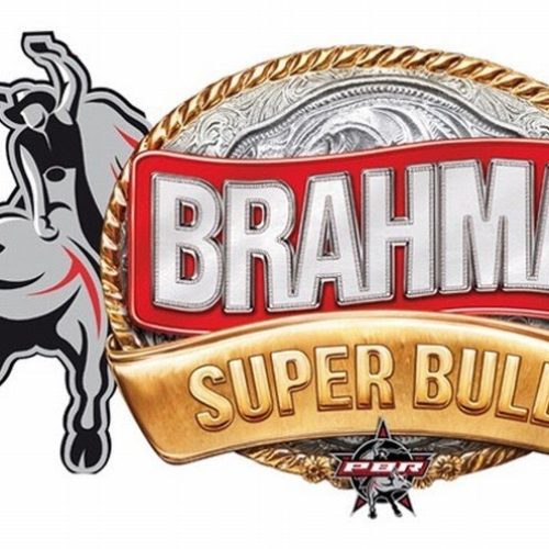 Feife 2012 terá o Circuito Nacional Brahma de Rodeio