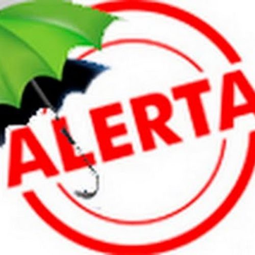 Agrotóxicos continuam matando abelhas