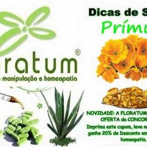 Dicas de saúde: Tudo sobre a prímula (Oenothera biennis)